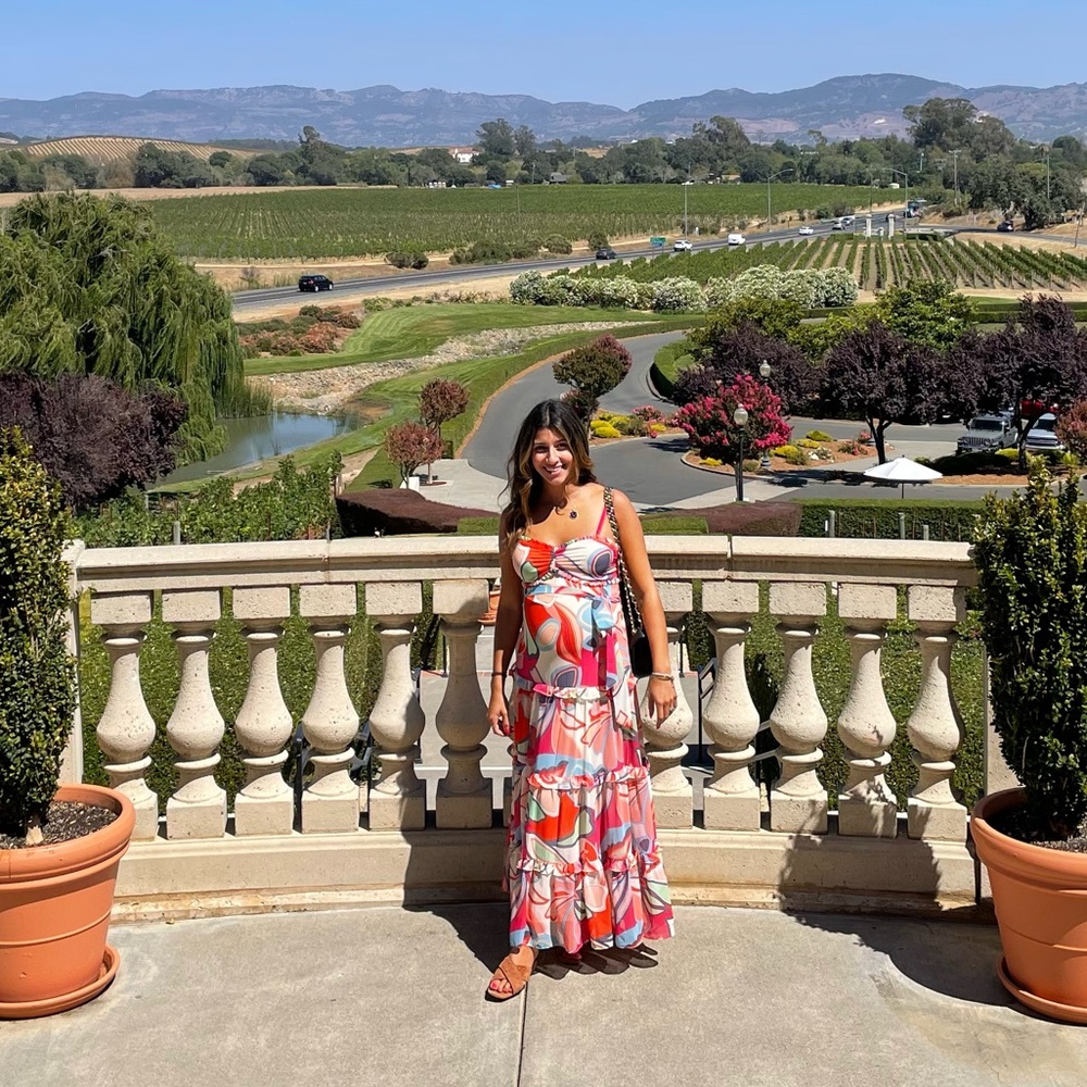 Alexis Size Small Maxi Dress